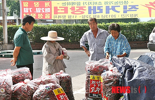 하상법인 이미지