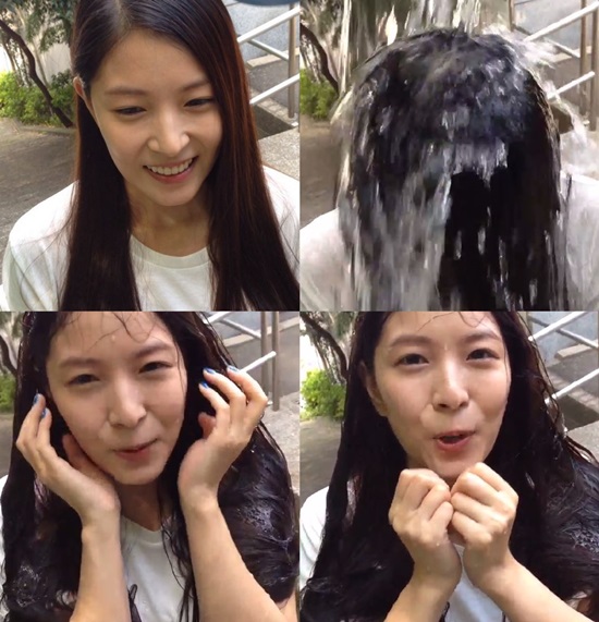 아이스탑 이미지