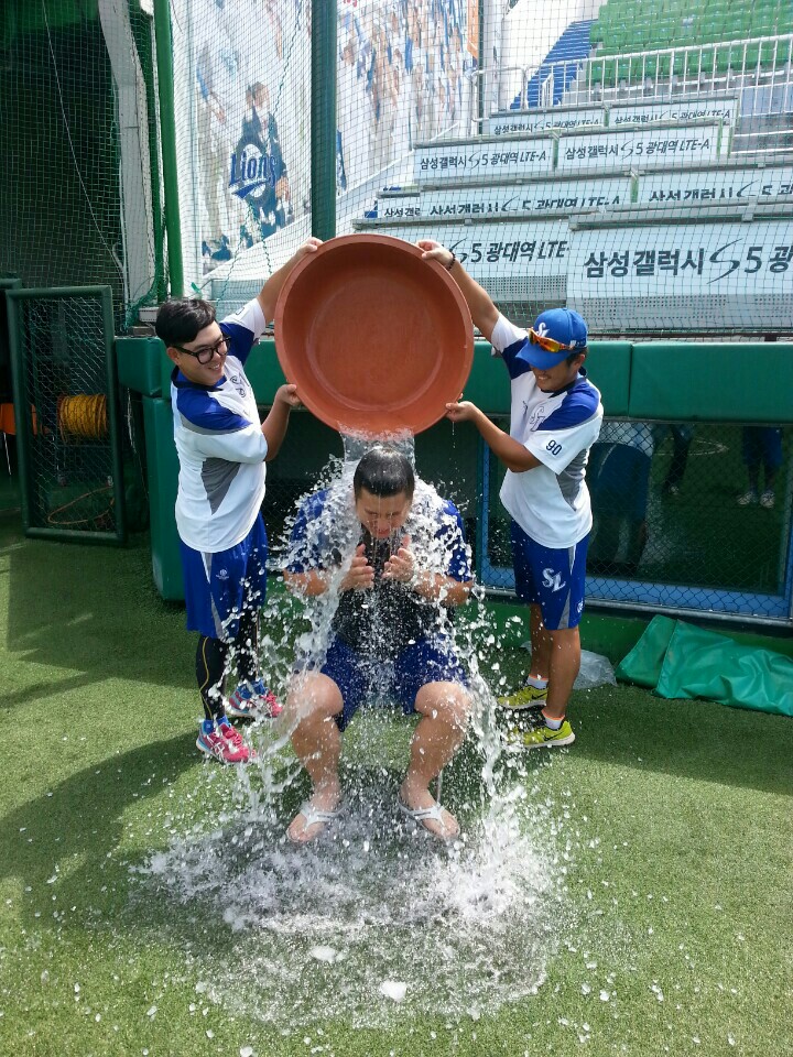 아이스라이온즈 이미지