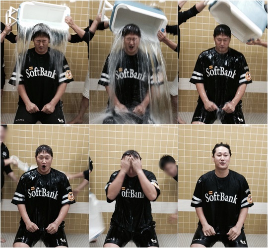 아이스라이온즈 이미지
