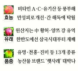 보감식품 이미지