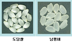 도담식품 이미지