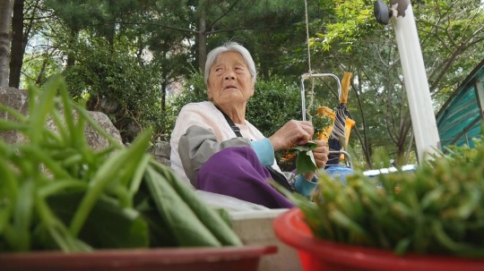 장수대박 이미지