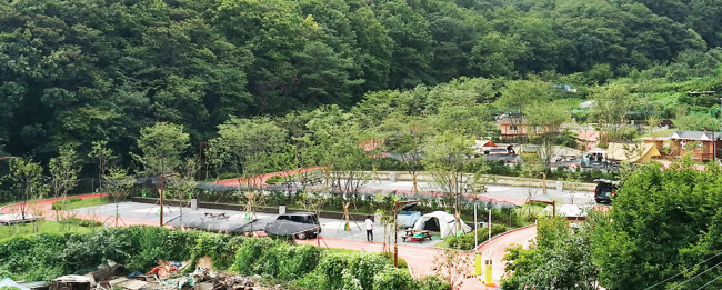 캠핑숲 이미지