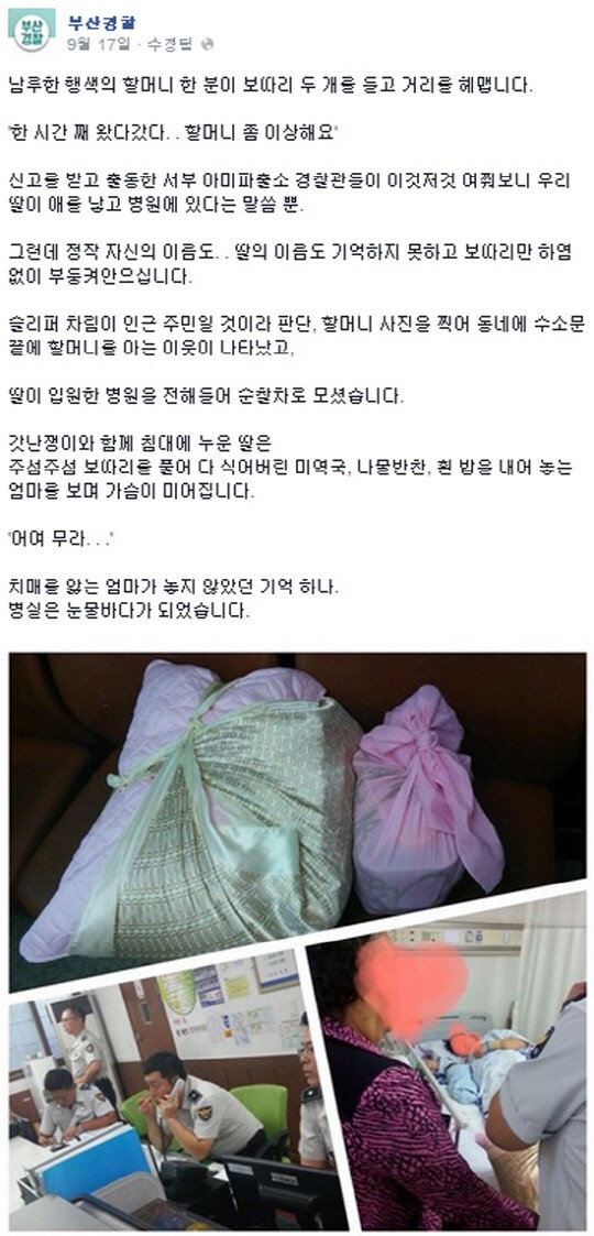 보따리주 이미지