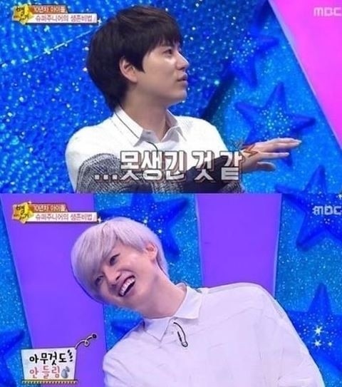 별바라기 이미지