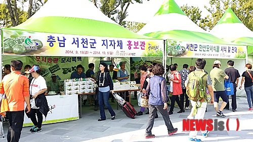 한산모시잎칼국수 이미지