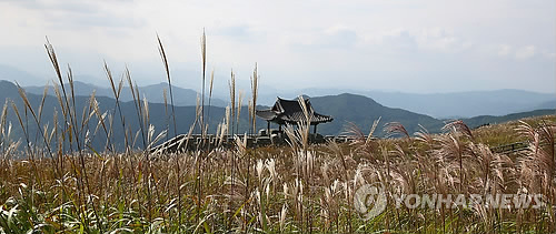 은빛축산 이미지