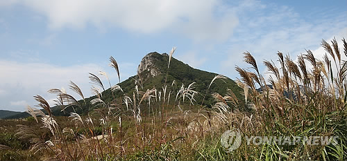 은빛축산 이미지