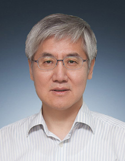 대전실사 이미지