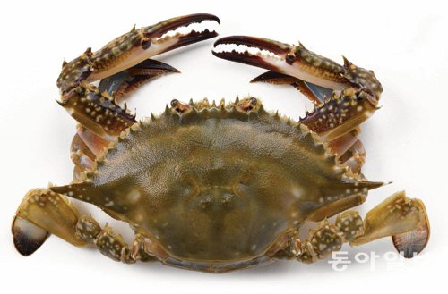 밥도둑 이미지