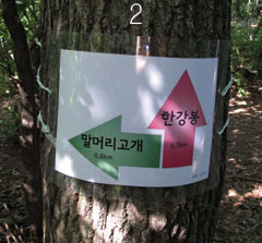 안골토종닭 이미지