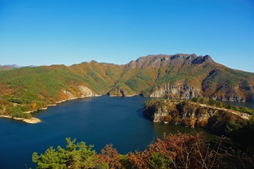 화순라이프 이미지