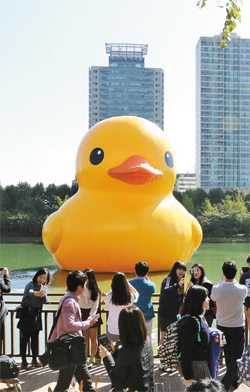 오리한마리 이미지