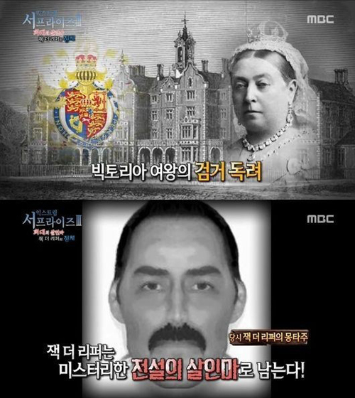 보보니 이미지