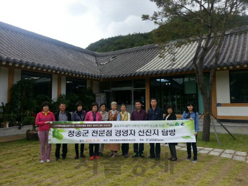 힐링푸드벨리 이미지