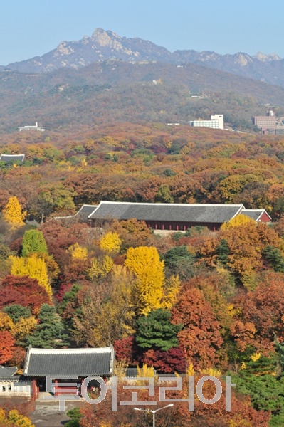 색감 이미지