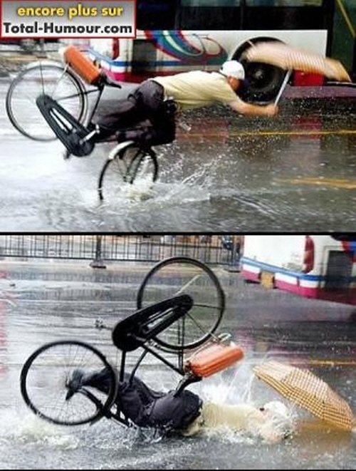하루쿡 이미지