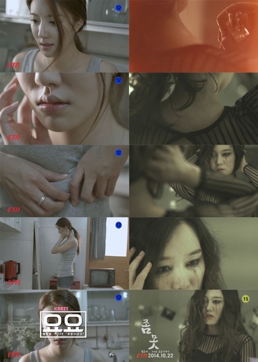 벨로체 이미지