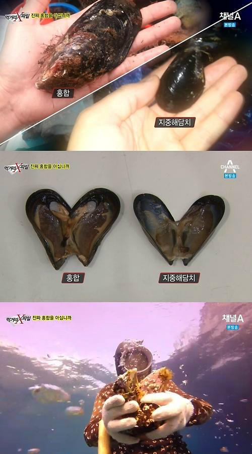 지중해수산 이미지