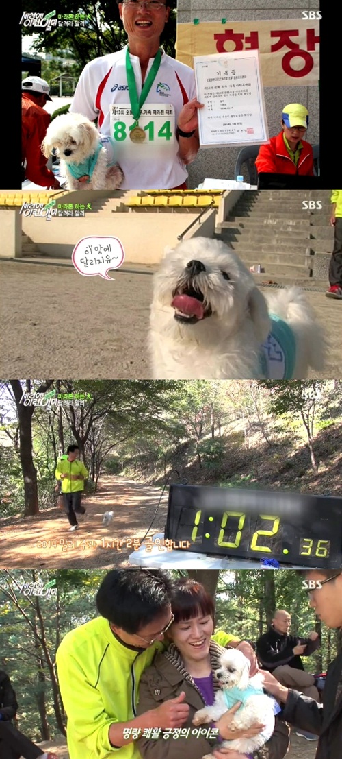 마라톤세상 이미지