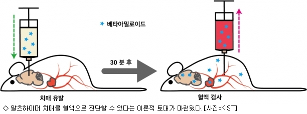 한국과학기술연구원 이미지