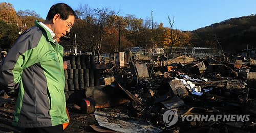 구룡컴퓨터 이미지