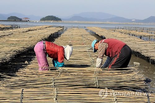 약산도 이미지