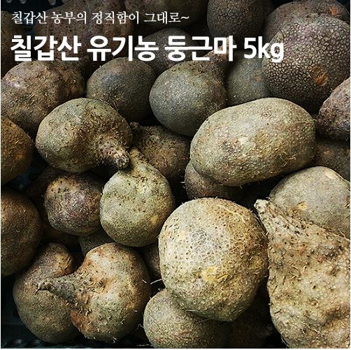칠갑산둥근마 이미지