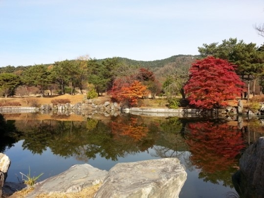 전통조경설계자연 이미지
