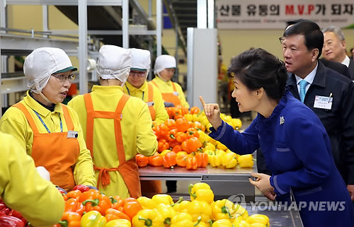 농협안성농식품물류센터 이미지