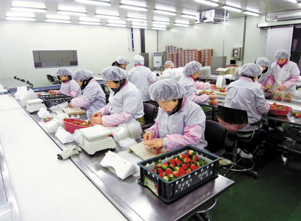 주식회사 원스 이미지