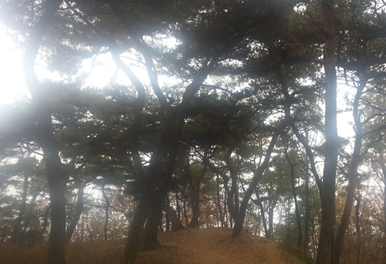 삼천궁녀 이미지