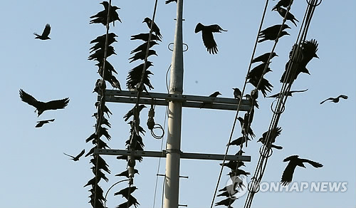 한국전력공사사천지점 이미지