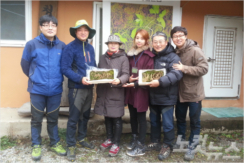 강원백운산삼농원 이미지