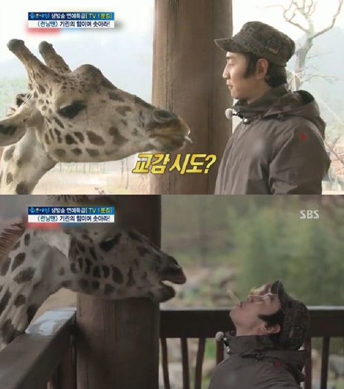 기린 이미지