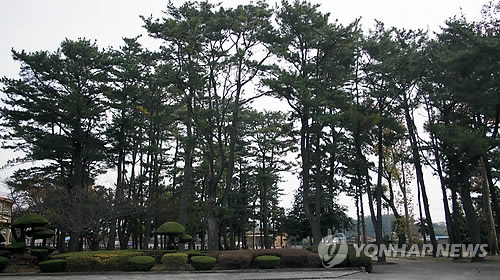 북일초등학교 이미지
