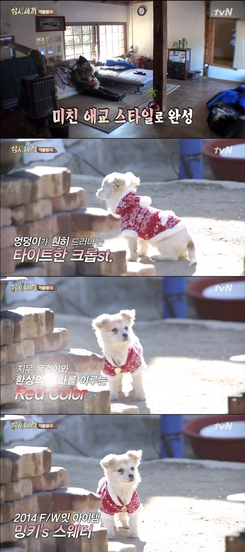 밍키패션 이미지