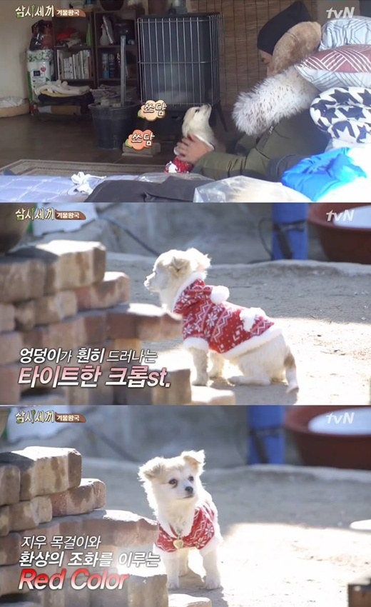 밍키패션 이미지