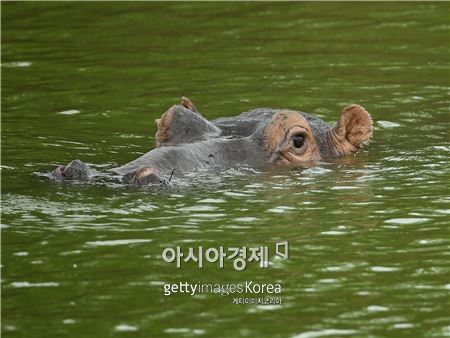 갤러리하마 이미지