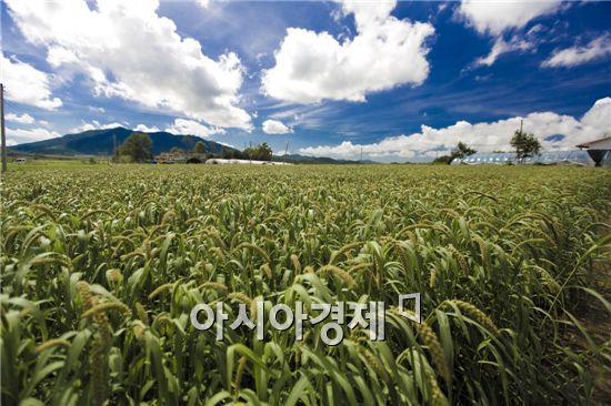 현산농업협동조합 이미지