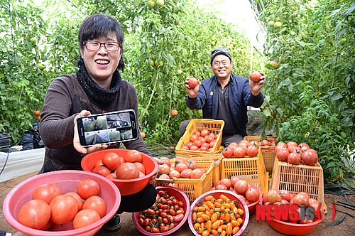 창조마을 이미지