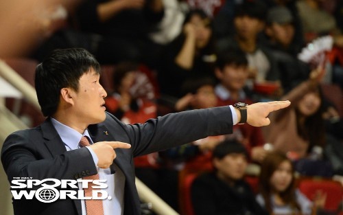 태권월드스포츠 이미지