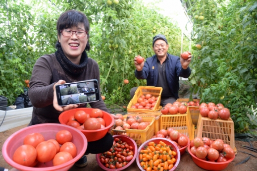 창조텔레콤 이미지