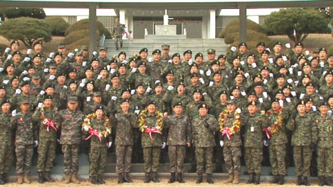아라우 이미지