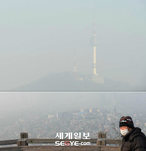 먼지 이미지