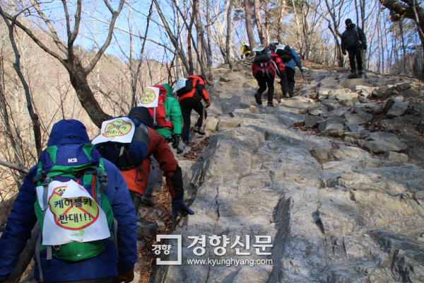 설악산림자원 이미지