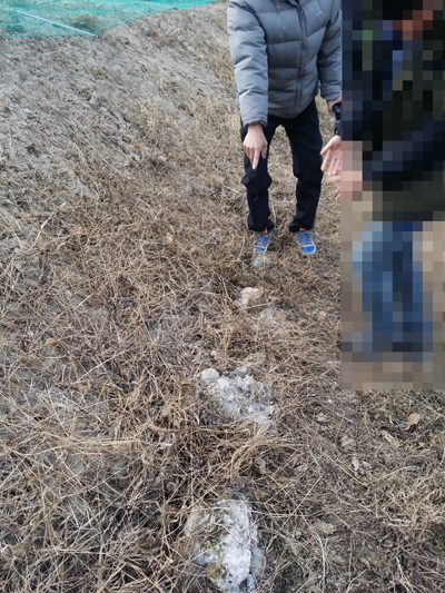 연곡주유소 이미지