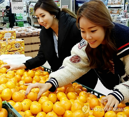 염가마트 이미지