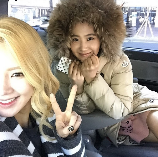 풍성유리 이미지